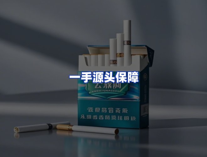 专业团队